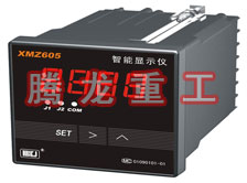 溫度表、數(shù)字顯示儀、濕度表