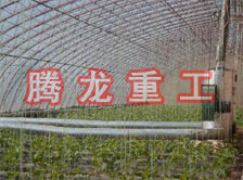 大棚花卉供暖設(shè)備、大棚卉采暖設(shè)備、大棚花卉取暖設(shè)備
