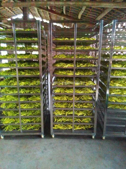 黃花菜烘干機、黃花菜烘干設備、黃花菜干燥機、黃花菜干燥設備、